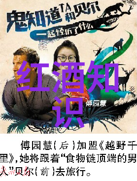 历史记录恢复-重温往昔一揭秘如何安全地恢复电脑历史记录