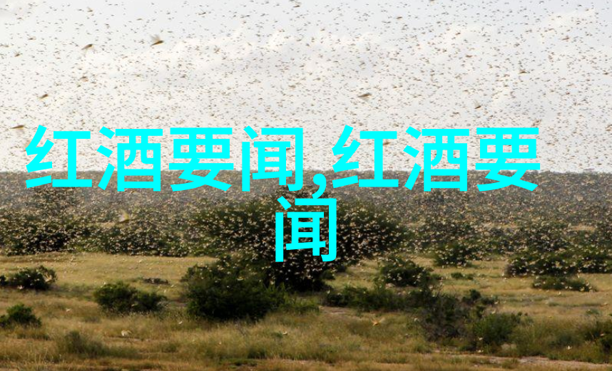 酒庄与产区的纽带醇香与土地的故事