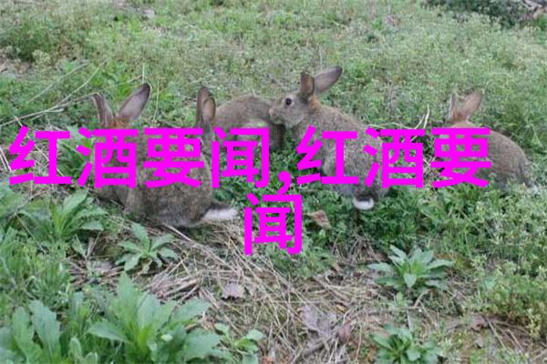 玉米的多样性展现种类图片及名称探究