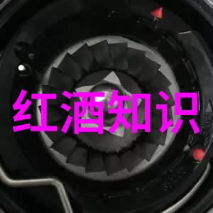 喜宴中的智慧大赛婚礼宾客的有趣问答挑战