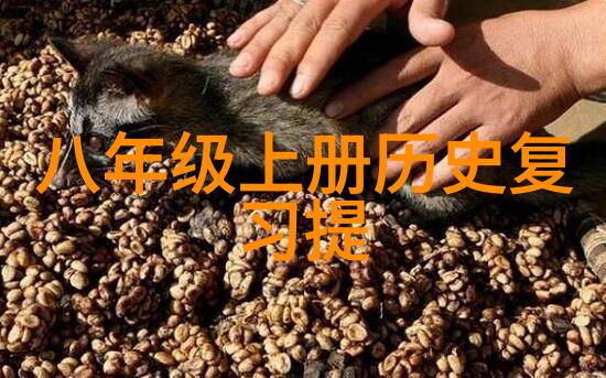 反骨txt下载-逆袭之路如何在网络文学界找到那份独一无二的反骨txt