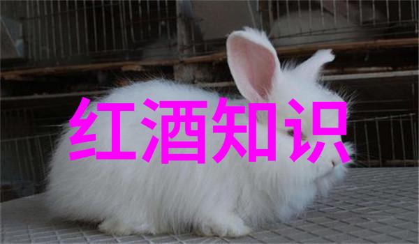 穿越千年从宫女到皇贵妃的逆袭