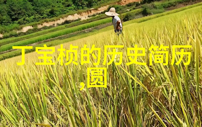 中国名人事迹从华罗庚到丁当科技与艺术的双璧
