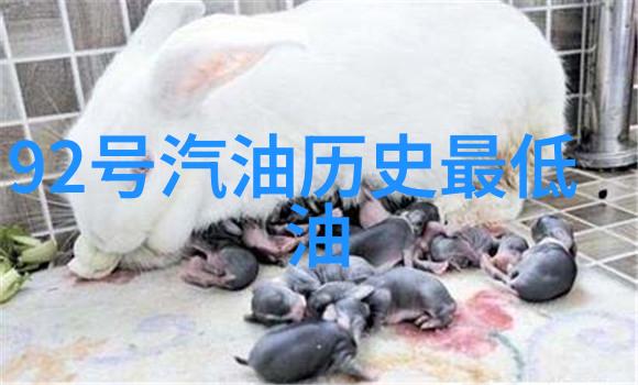 中国历史上的英杰们人物传记与时代印记
