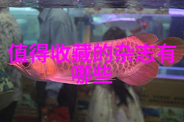 二龙湖玫瑰庄园简介我在二龙湖的玫瑰故事一座充满爱与梦想的庄园