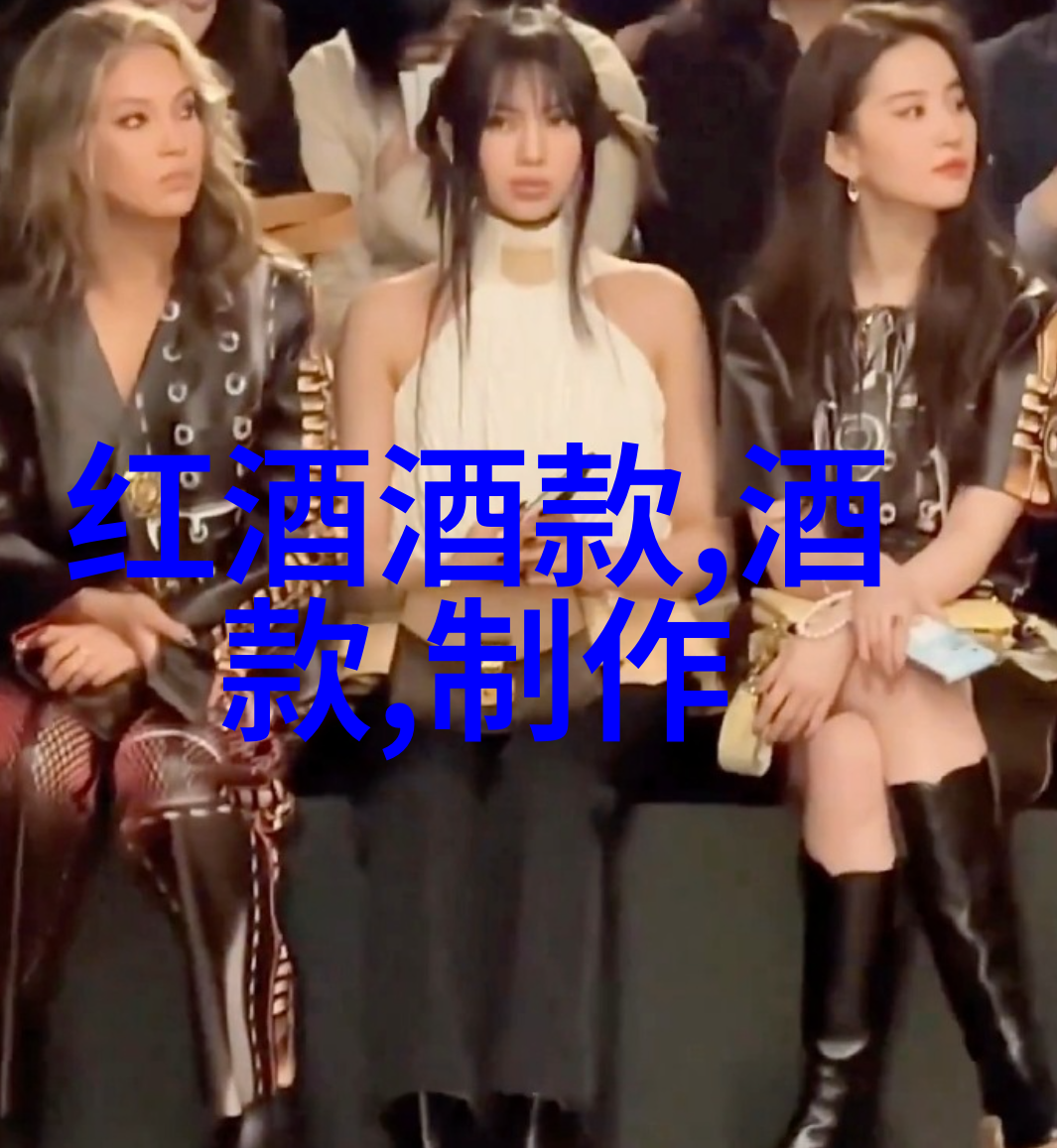 法国著名的葡萄酒产区-波尔多白朗奇和布鲁瓦地区探索法国葡萄酒王国