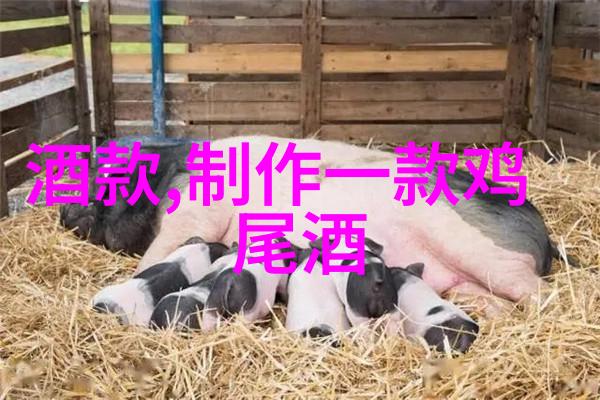 中国传统酒文化书籍推荐探索中华古韵中的饮品艺术