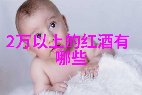 葡萄酒之冠全球顶级产区巡礼法国波尔多意大利托斯卡纳西班牙里瓦达维亚