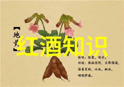 东方明珠下的秘密篇探索上海周边的隐藏宝藏
