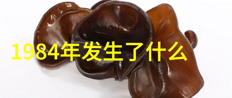 投资新手指南如何选择一只优秀的指数基金