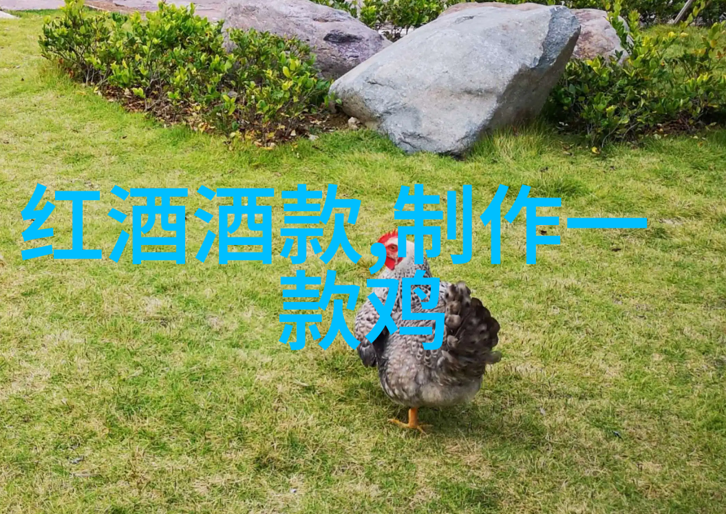 罗曼尼康帝勃艮第葡萄酒的典范1000至1500年间的红酒珍品