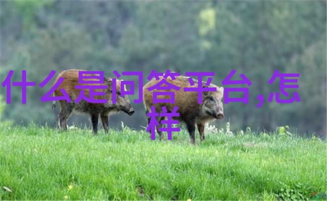 心灵相遇瞬间永恒网上寻找最棒的人物肖像画廊