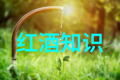 隆河丘产区我在隆河丘产区的故事一场与土地亲密接触的旅程