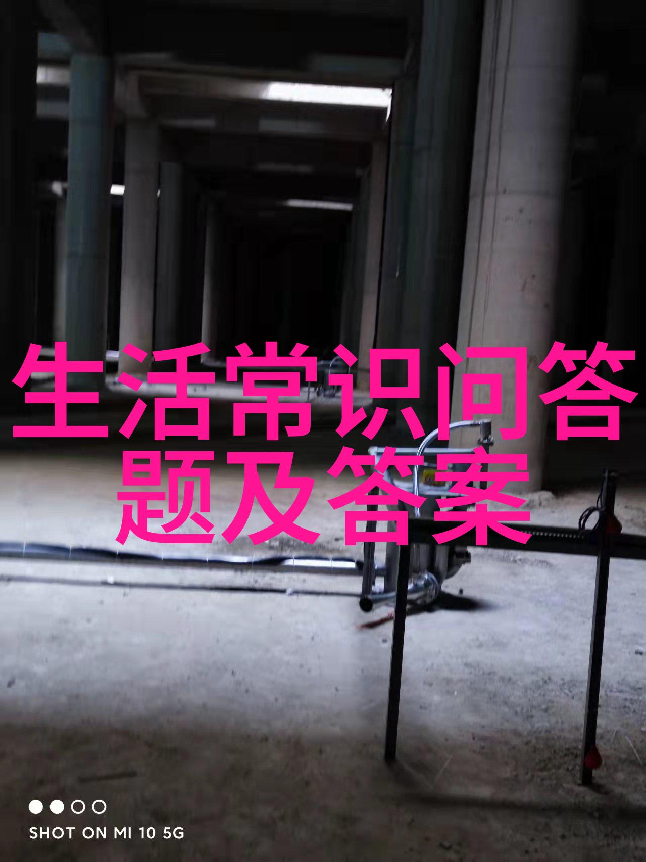 中国收藏网下载我是如何在一夜之间成为古董专家的小奇遇