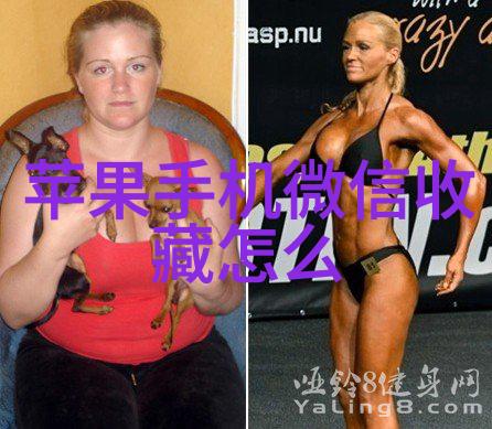 咖啡香浓咖啡文化与烹饪技巧