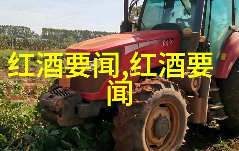 玫瑰花的多样魅力全球各地的不同品种和特点