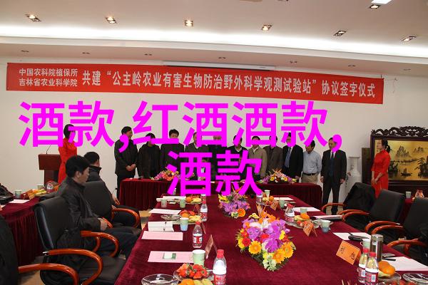 火影忍者中的小樱强禁照一段关于坚持与自我实现的故事
