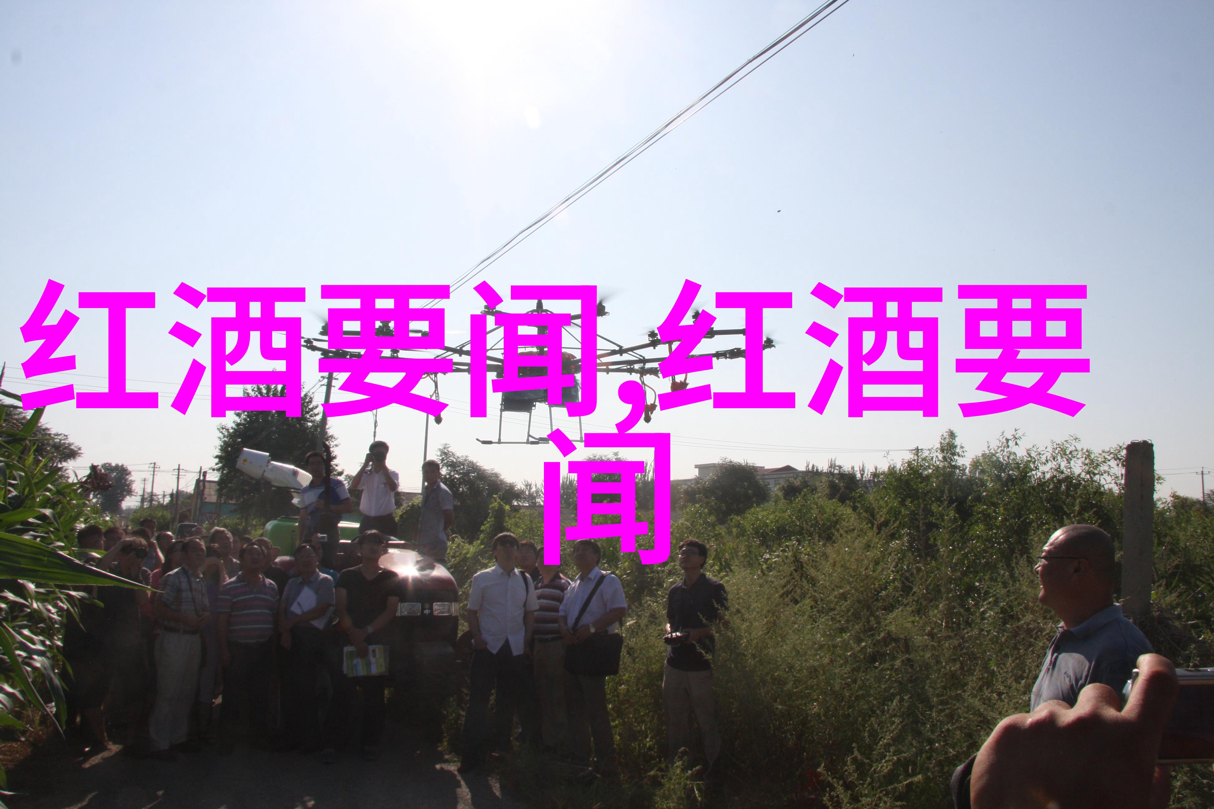 百度知道在哪里知识的指南针