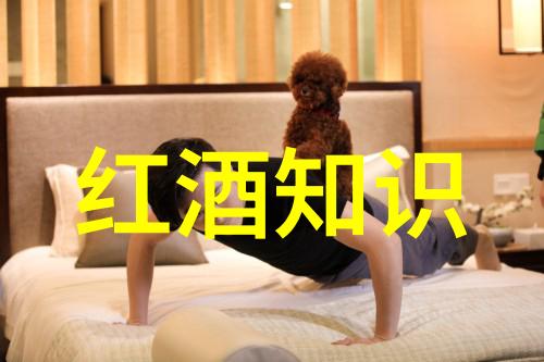 黑龙江迎来史上最凛冽的冬天暴雪将再次侵袭省内多地