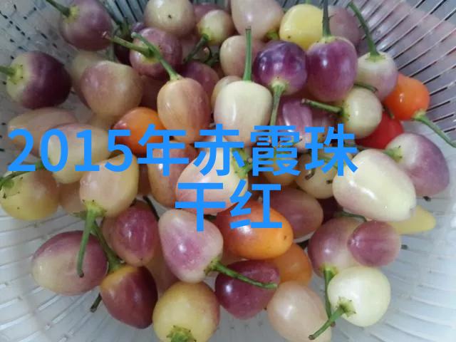 醉心法国红AOP与AOC产区的差异探究