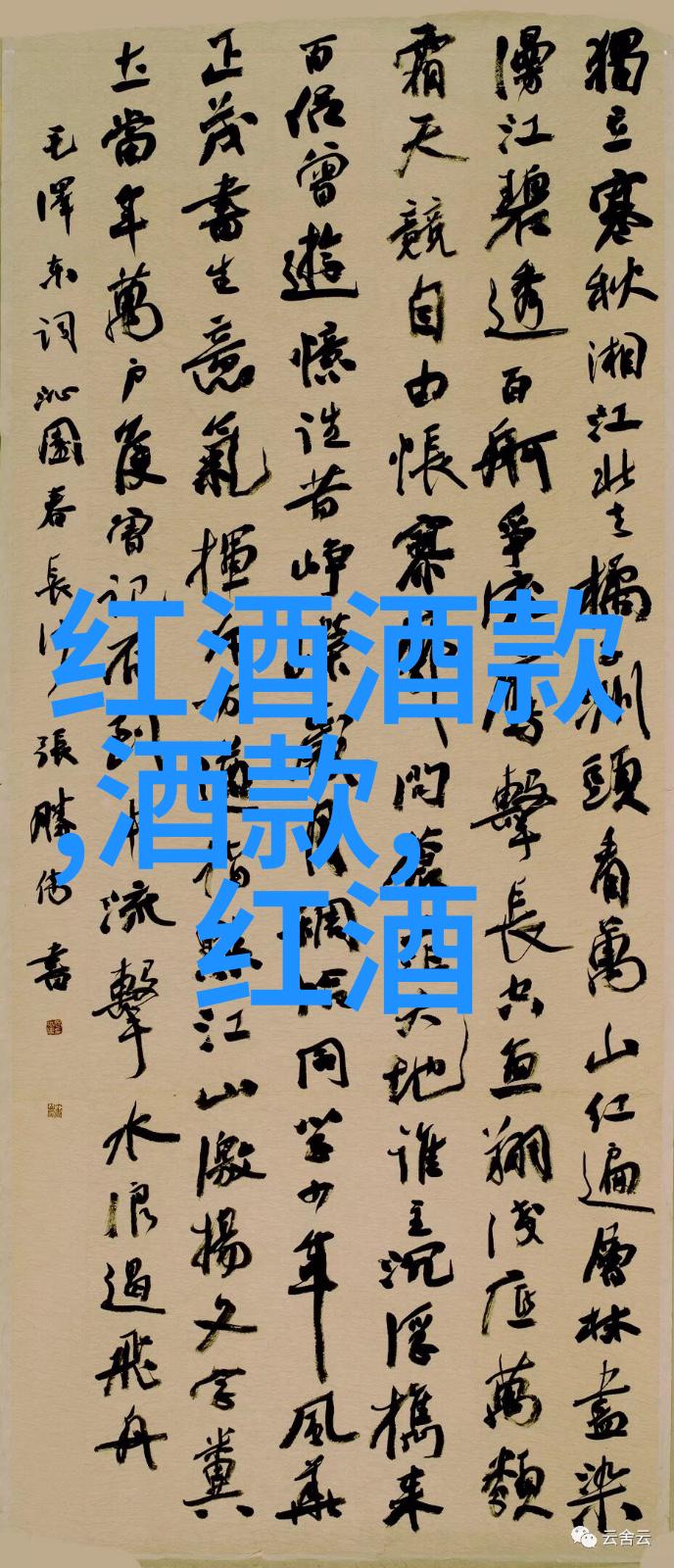 猫咪爱好者必备指南我眼中的世界十大猫种类排名从小可爱到威武凶猛