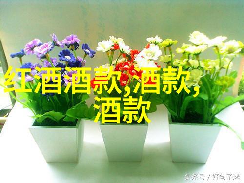 绚烂的玫瑰世界探索各类品种名字与花语之美