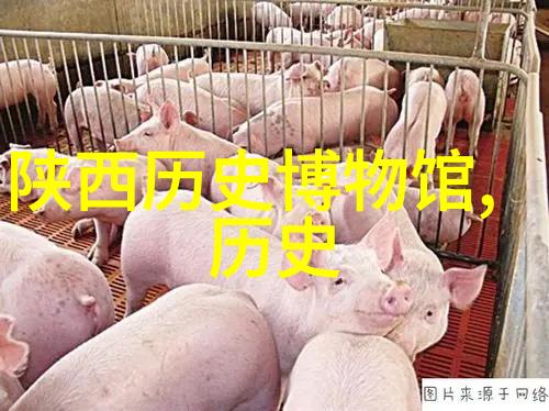 古今传奇诸葛亮的星辰之旅