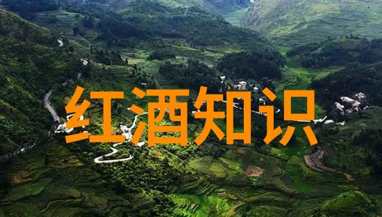 品味法国葡萄酒探索其十大著名产区