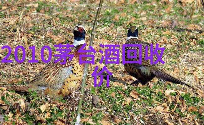 色彩运用与调色法提升简易人物画的视觉冲击力