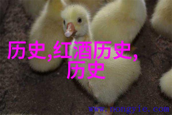 猫咪收藏家们快来看看 猫价格一览表2023揭秘各大品种的宠物新贵价格走势