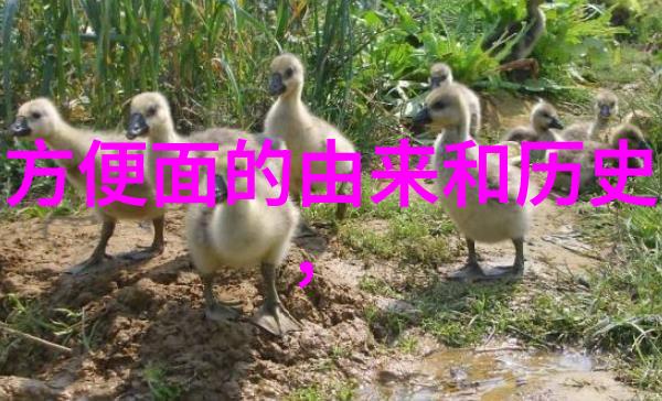 西安周边游二日游-探索古都遗韵西安周边精彩行程
