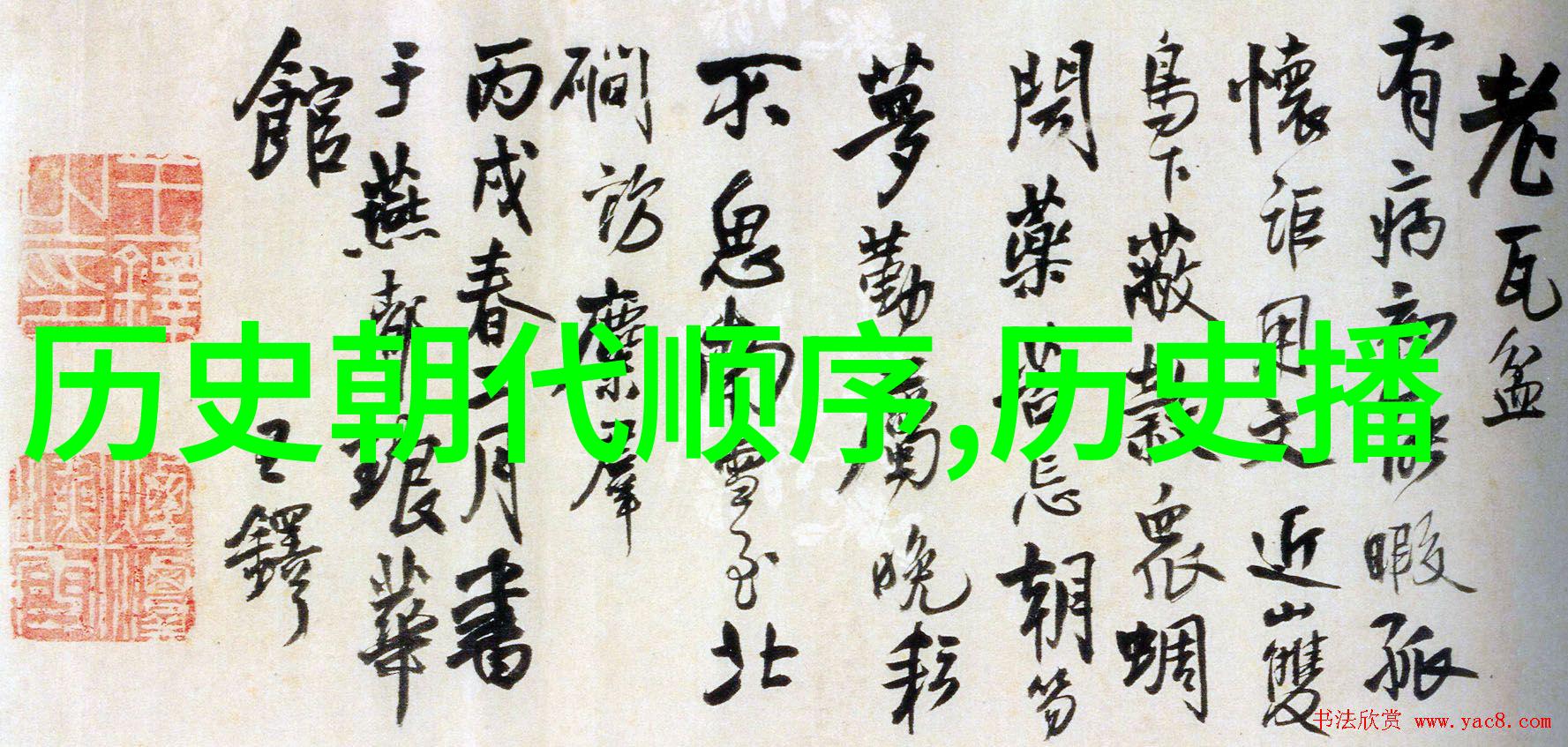 真人模特儿写真时尚摄影中的真实人物展示