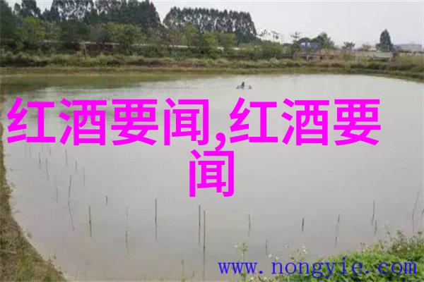 反思家居装饰如何在空间中恰当地展示你的文物与收藏
