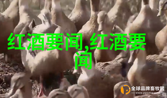 课堂领袖英语课代表的光辉形象