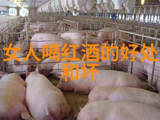 九游心动庄园2最新版本 - 探秘新篇章九游心动庄园2最新版本的精彩变化