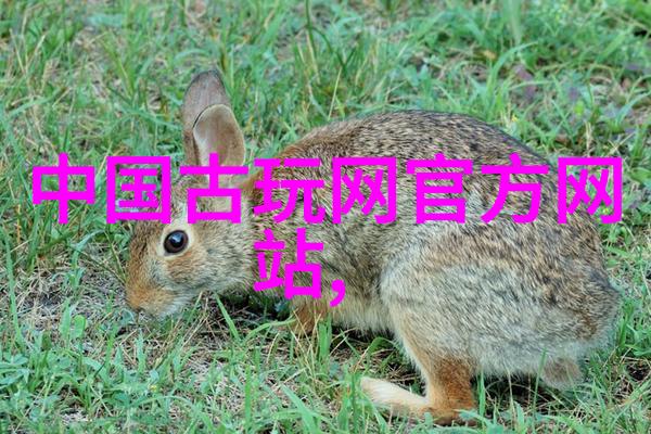 阿根廷主要葡萄酒产区马德拉斯山脉卡塔马尔克地区米托卡等地的葡萄酒生产