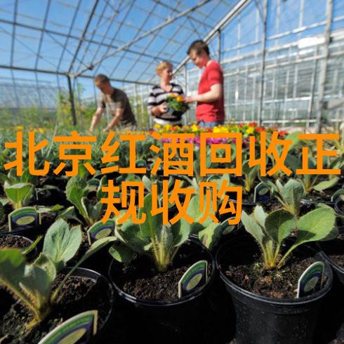 葡萄酒基础知识大全红酒白酒香槟葡萄品种大师酿造