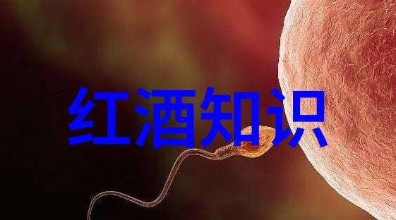 中国收藏艺术网我是如何在网上找到了那一幅稀有的古画的故事