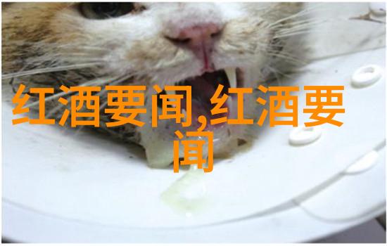 如何在百度上问问题你的智能助手这篇文章将教你如何在百度上高效率地搜索到你想要的信息让你的问题得到快速