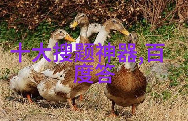 2023小鸡庄园解锁最新的蛋密码揭开神秘的繁殖术语