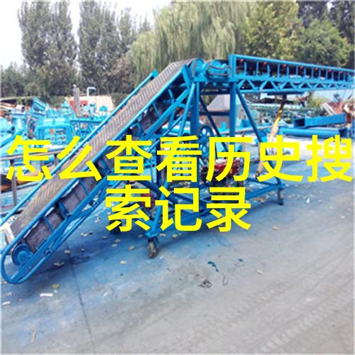 红星照耀中国栾大伟优化库存结构不急于进军B2B市场先稳健发展物品销售业务