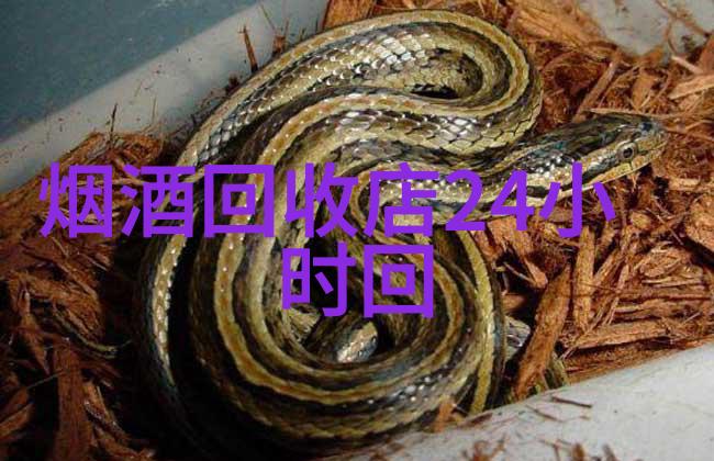 活灵活现揭秘卡通人物形象设计的艺术与魔力