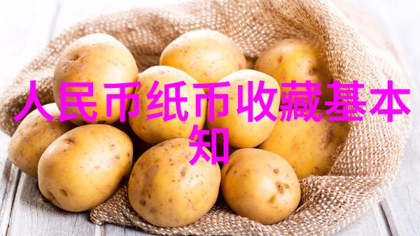 从古至今的宠儿历代文明中的重要猫品种介绍与图片展示