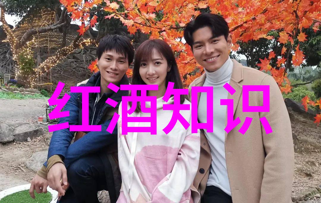 醉心当代酒文化在现代社会的新涵义与价值探索