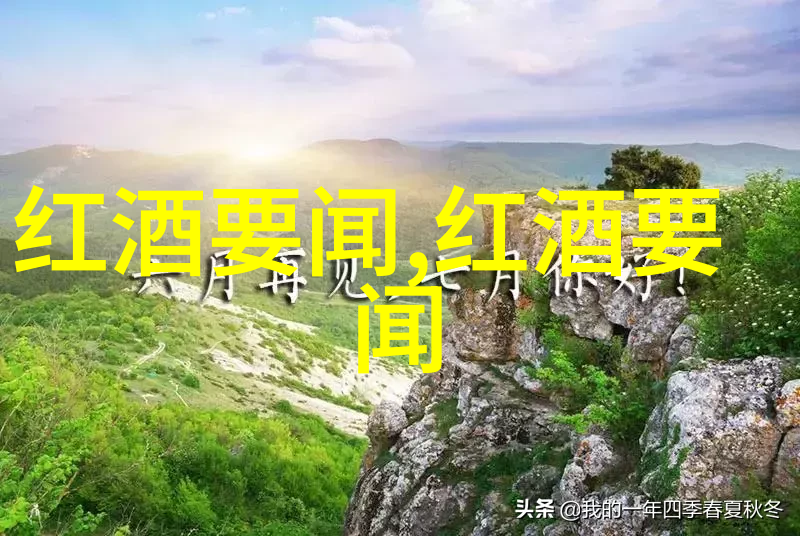 撑起伽罗的腿疯狂输出视频王者荣耀游戏内容