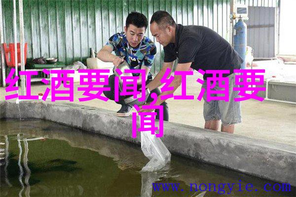 云南红酒庄园简介我的云南之旅醉心于滇境美酒的故事
