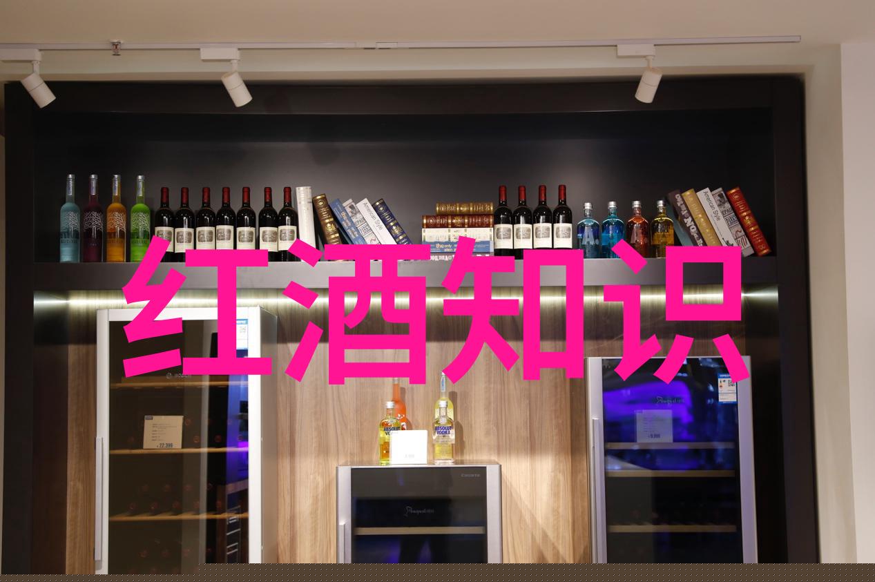 走进成都艺术世界现代美术馆及音乐厅之旅