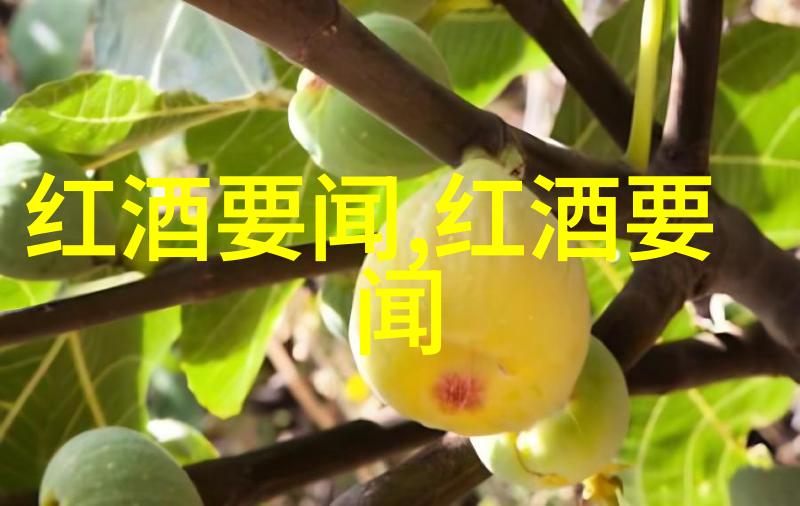 主题-收藏功能在哪里找解锁您的数字生活智能助手