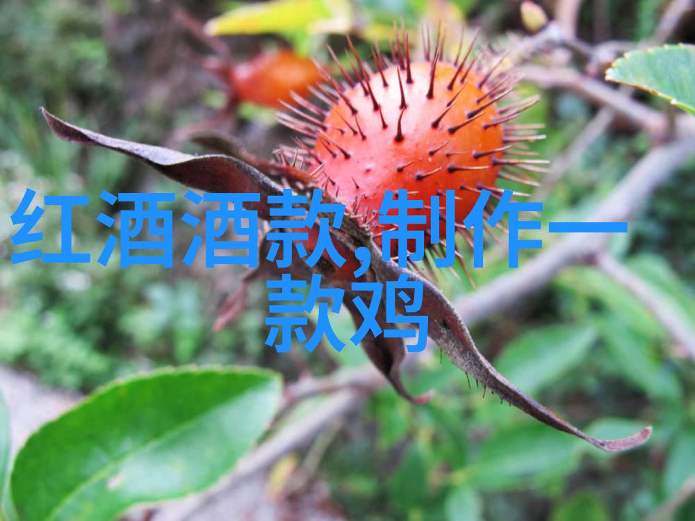 卡塞杜妮亚酒庄4级庄园设计图详细教程步骤
