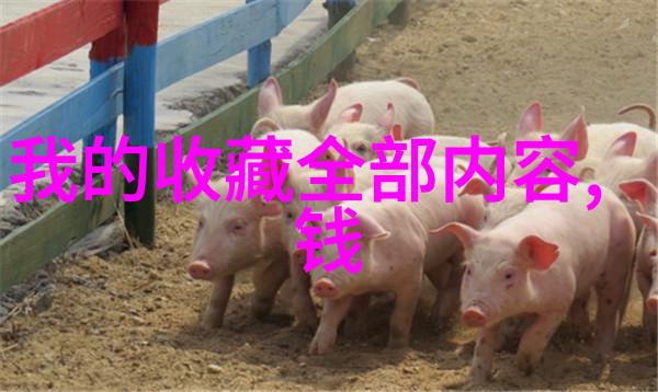 猫科动物的多样性探索全球各类猫猫的奇迹